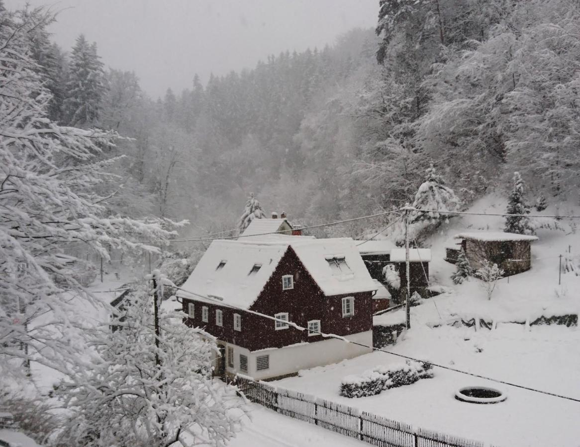 Ferienhaus Bildhauer Thiele Ottendorf  Esterno foto